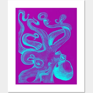 Teal Octopus Posters and Art